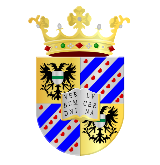 Університет м. Гронінген